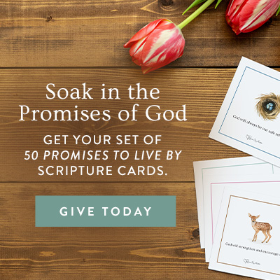 50 Promises Scripture Card Set