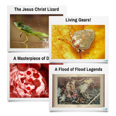 NEW Creation Gospel Tracts (ages 13-35)