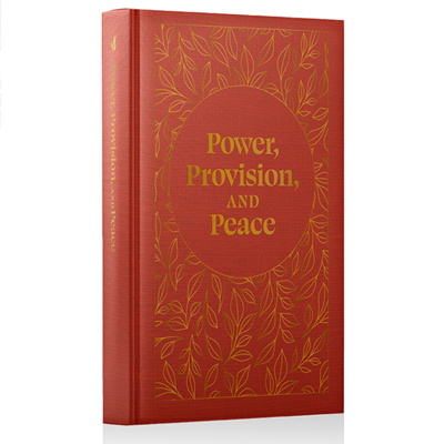 Power, Provision, and Peace