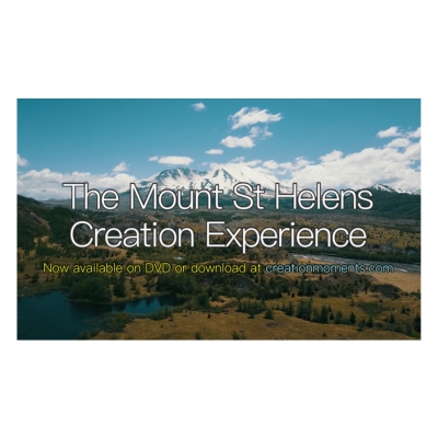 The Mount St Helens Creation Experience