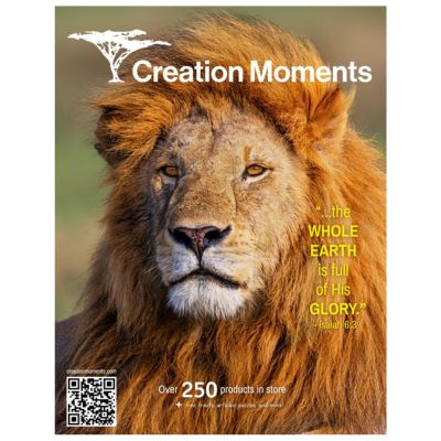 Creation Moments Resource Catalog