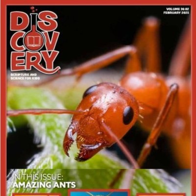 Discovery- Scripture AND Science for kids