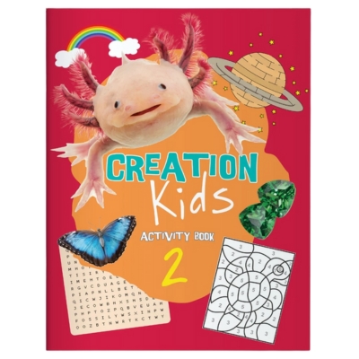 Creation Kids Activity Book 2