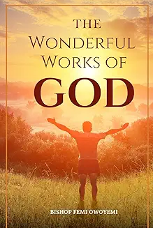 The Wonderful Works of God Book