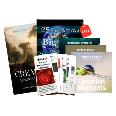 FREE Digital Downloads