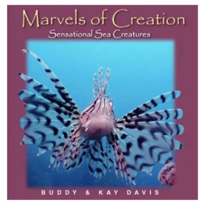 Marvels of Creation: Sensational Sea Creatures