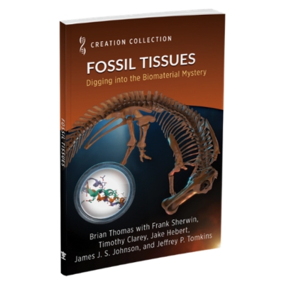 Fossil Tissues: Digging into the Biomaterial Mystery