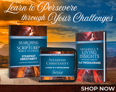 Steadfast Christianity Set