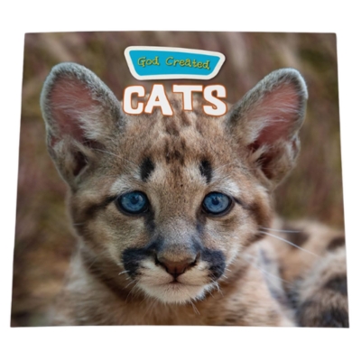 God Created Cats