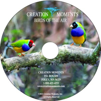 Birds of the Air