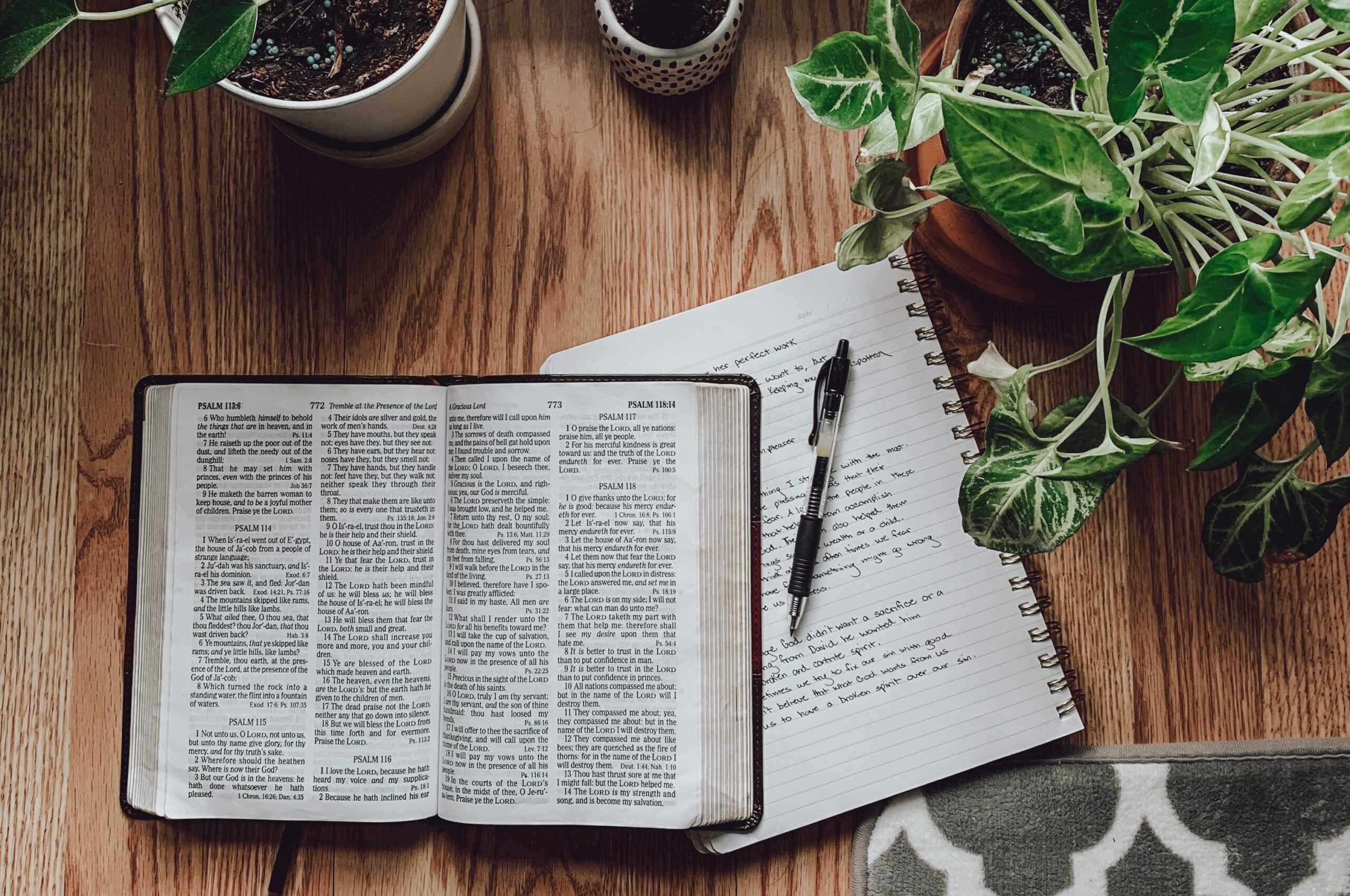 Reading Through the Bible Mid-Year Plan