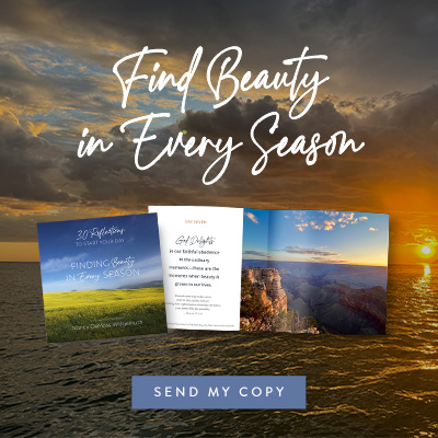 Finding Beauty in Every Season
